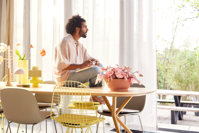 vibes fold bowl 25cm rose poudré